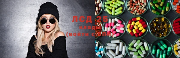 ГАЛЛЮЦИНОГЕННЫЕ ГРИБЫ Арсеньев