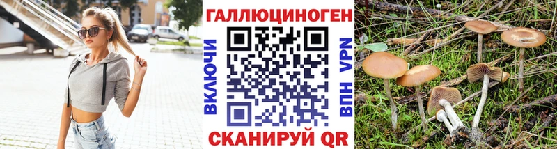 Псилоцибиновые грибы Magic Shrooms  купить наркотик  Гудермес 