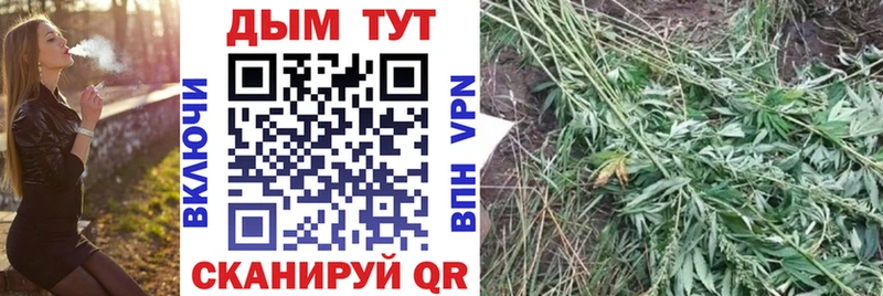 Шишки марихуана тримм Гудермес